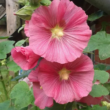 Lejlighed Alter Dorfkrug 3